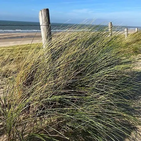 Ruime Vakantiewoning Aan De Kust 48, Op 50m Strand! Egmond aan Zee